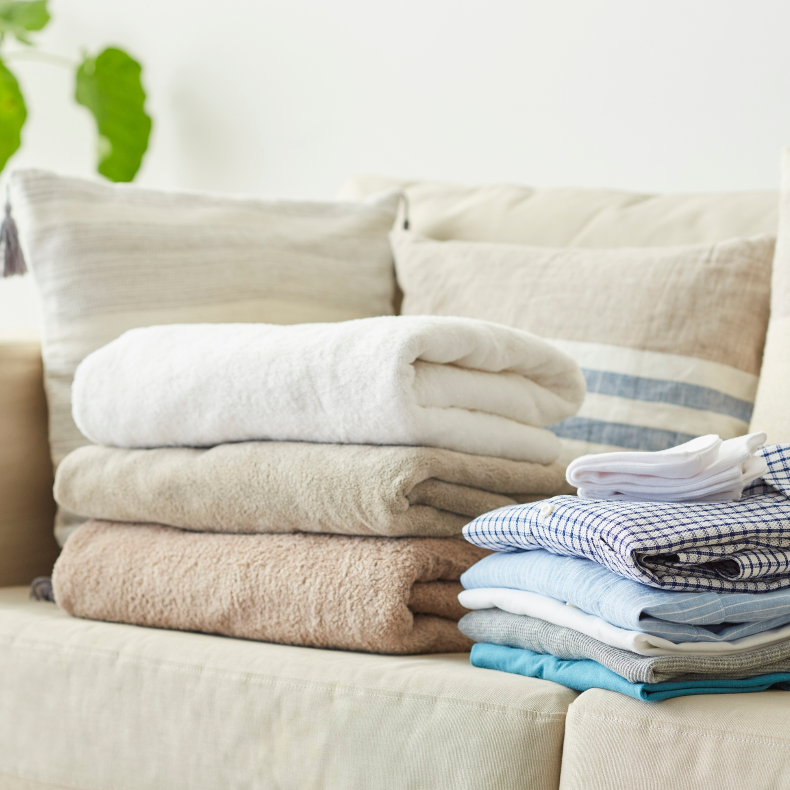 Premium freshly laundered and neatly folded white towels and garments